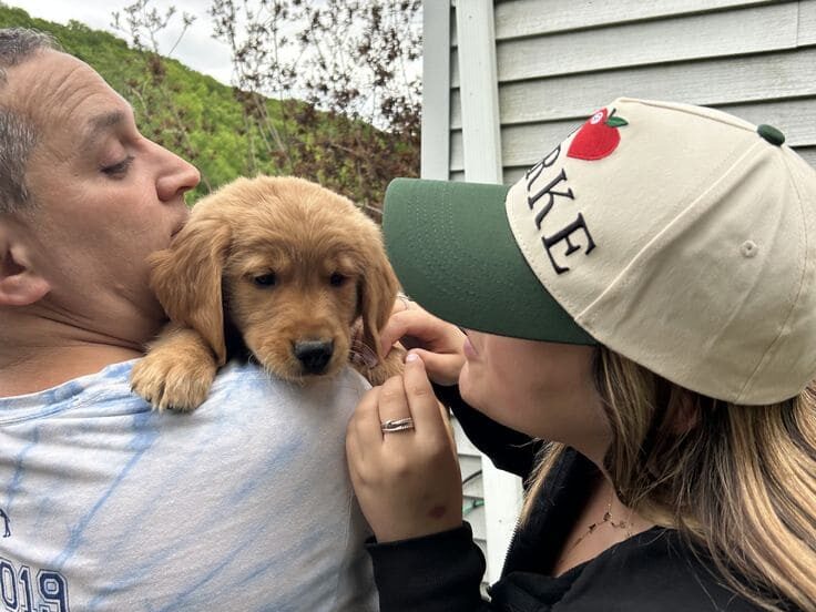 Golden Köpeklerini Barınaktan veya Güvenilir Yerden Sahiplenme